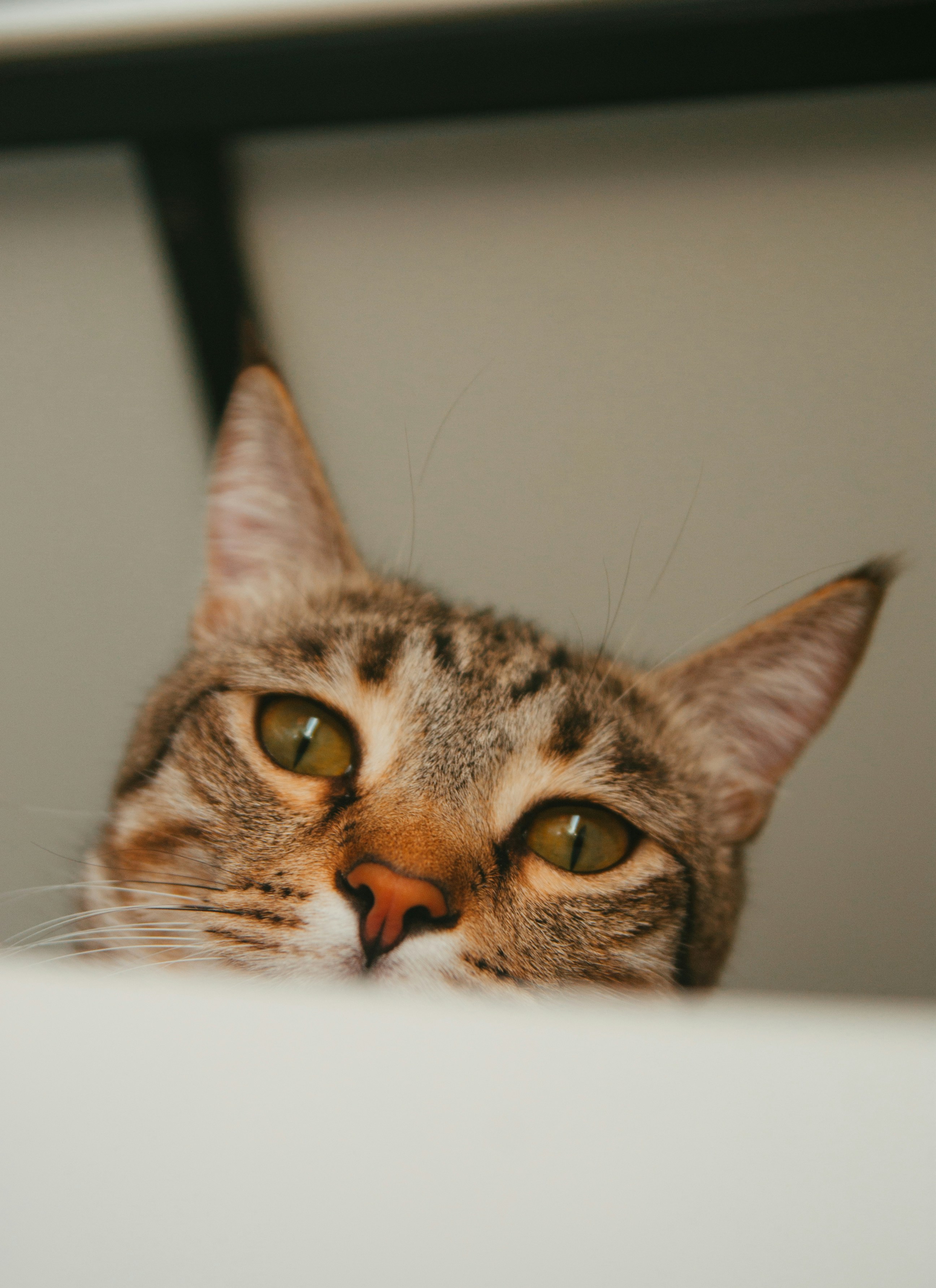 Photo by moonmoons_days