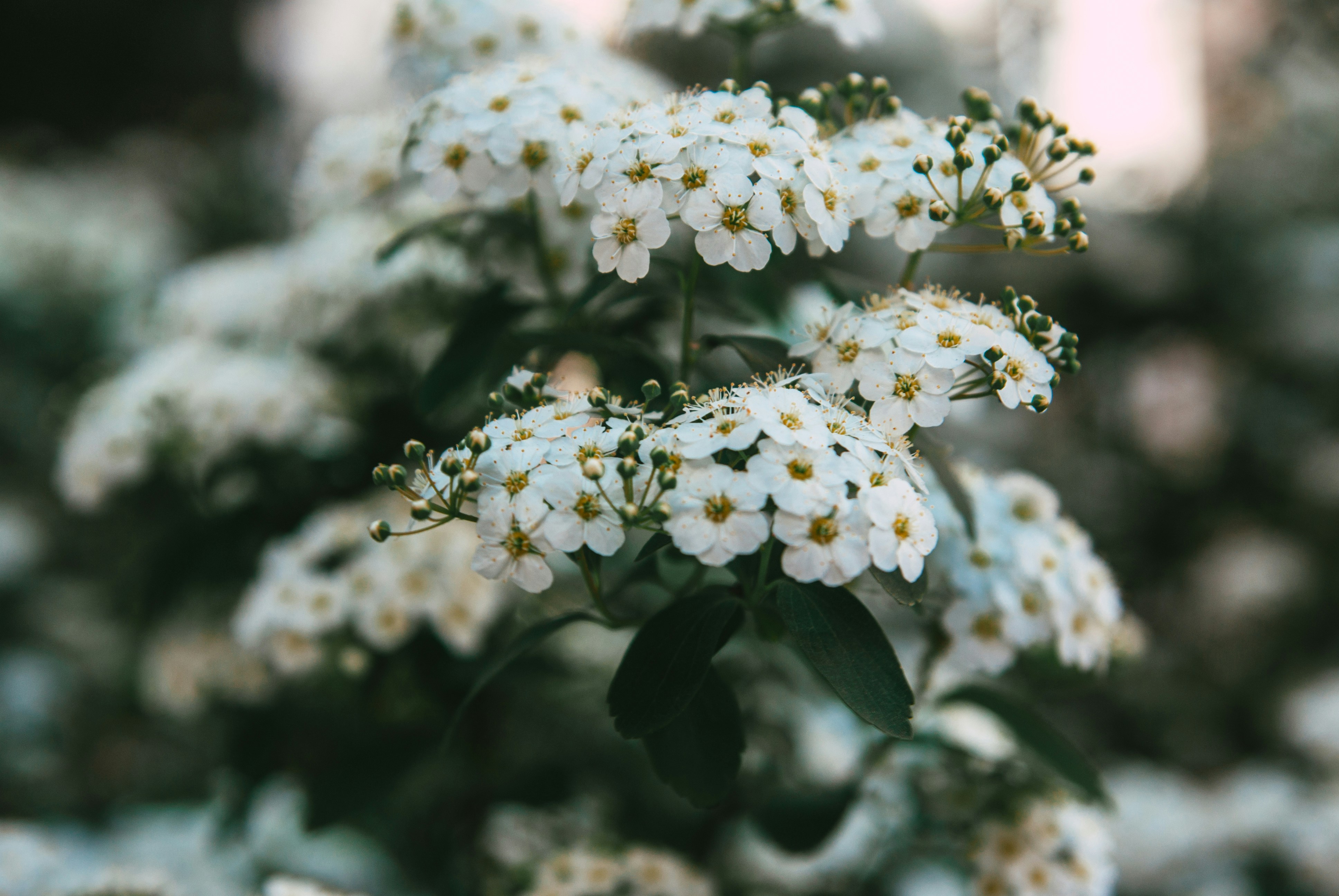 Photo by moonmoons_days