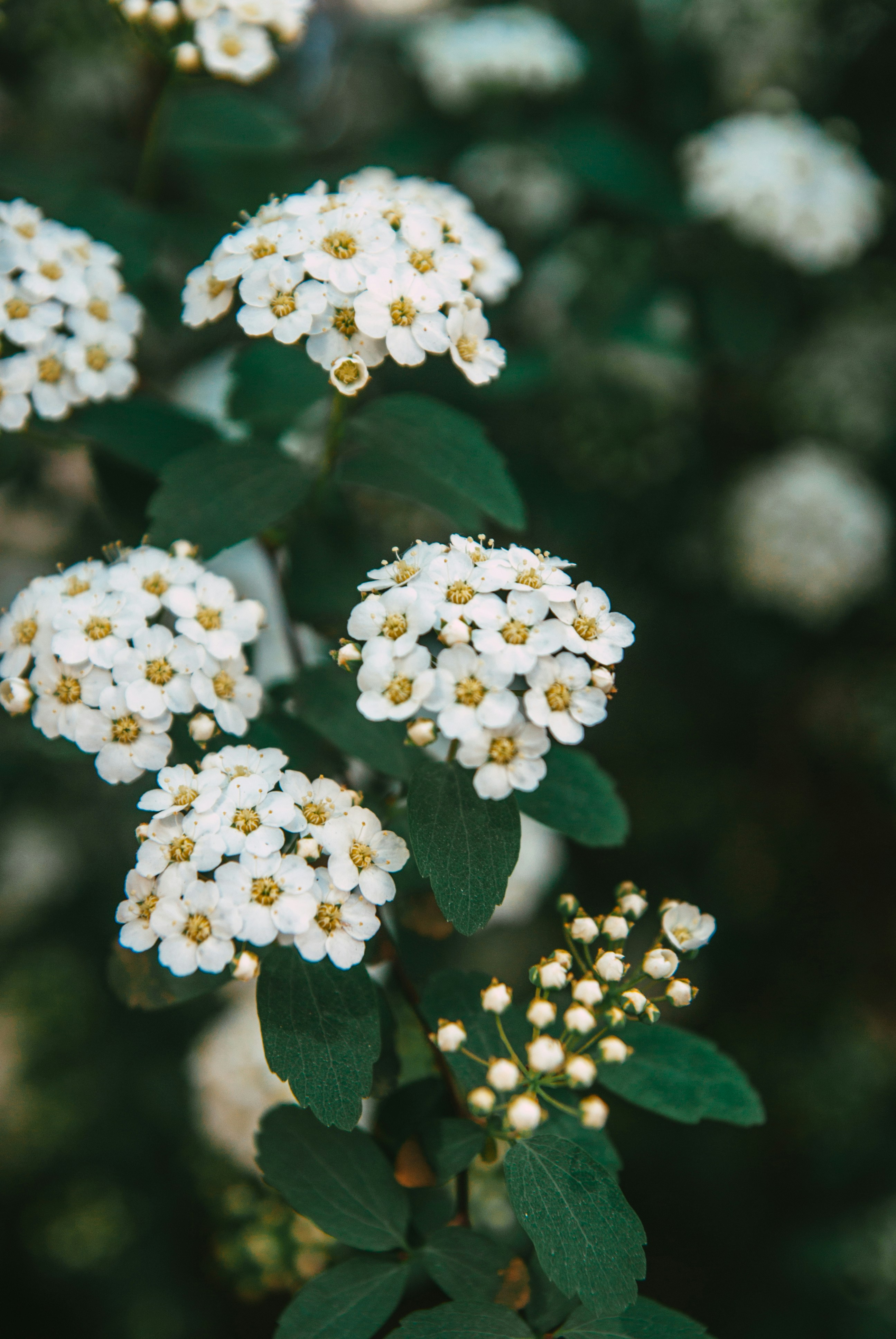 Photo by moonmoons_days