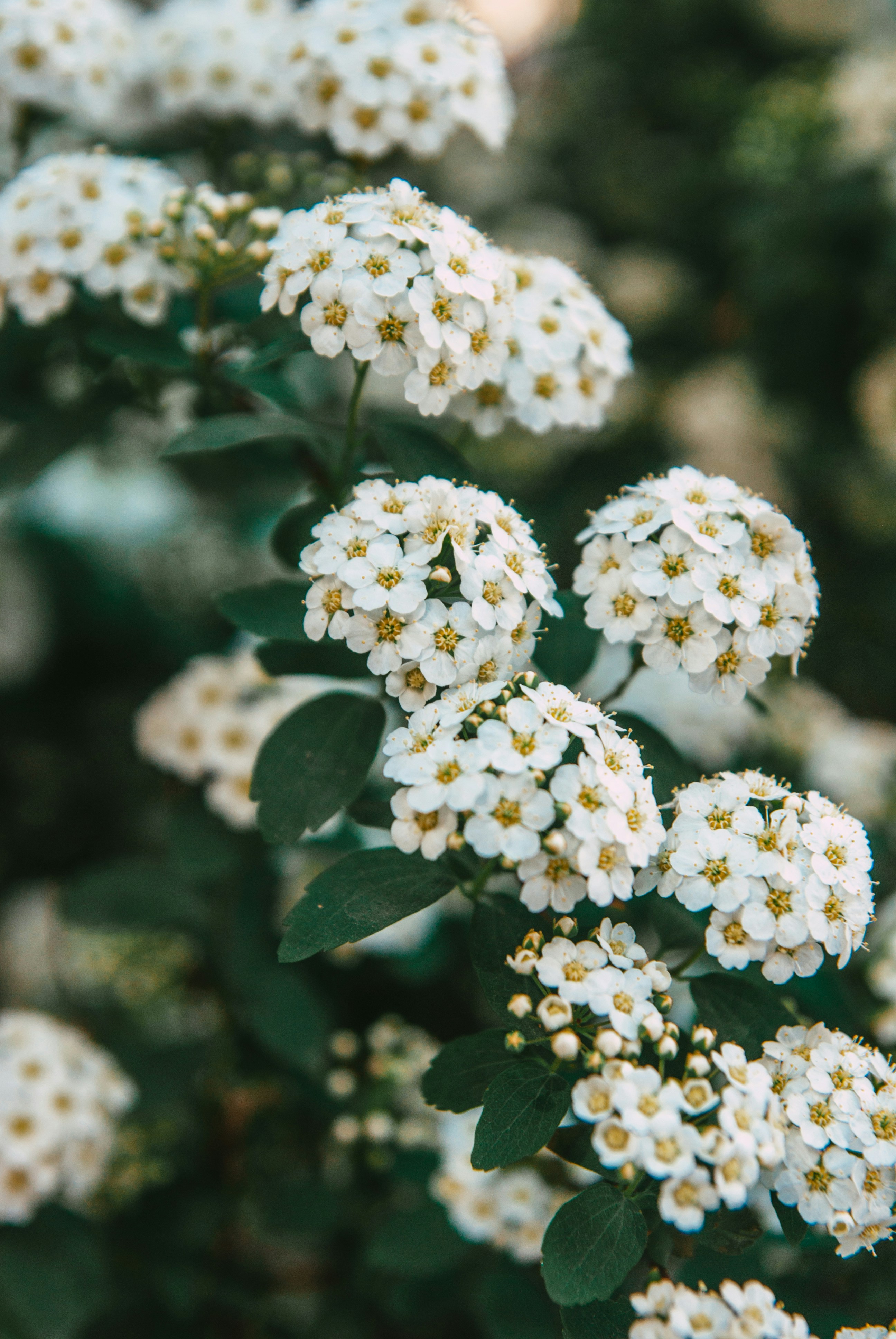 Photo by moonmoons_days