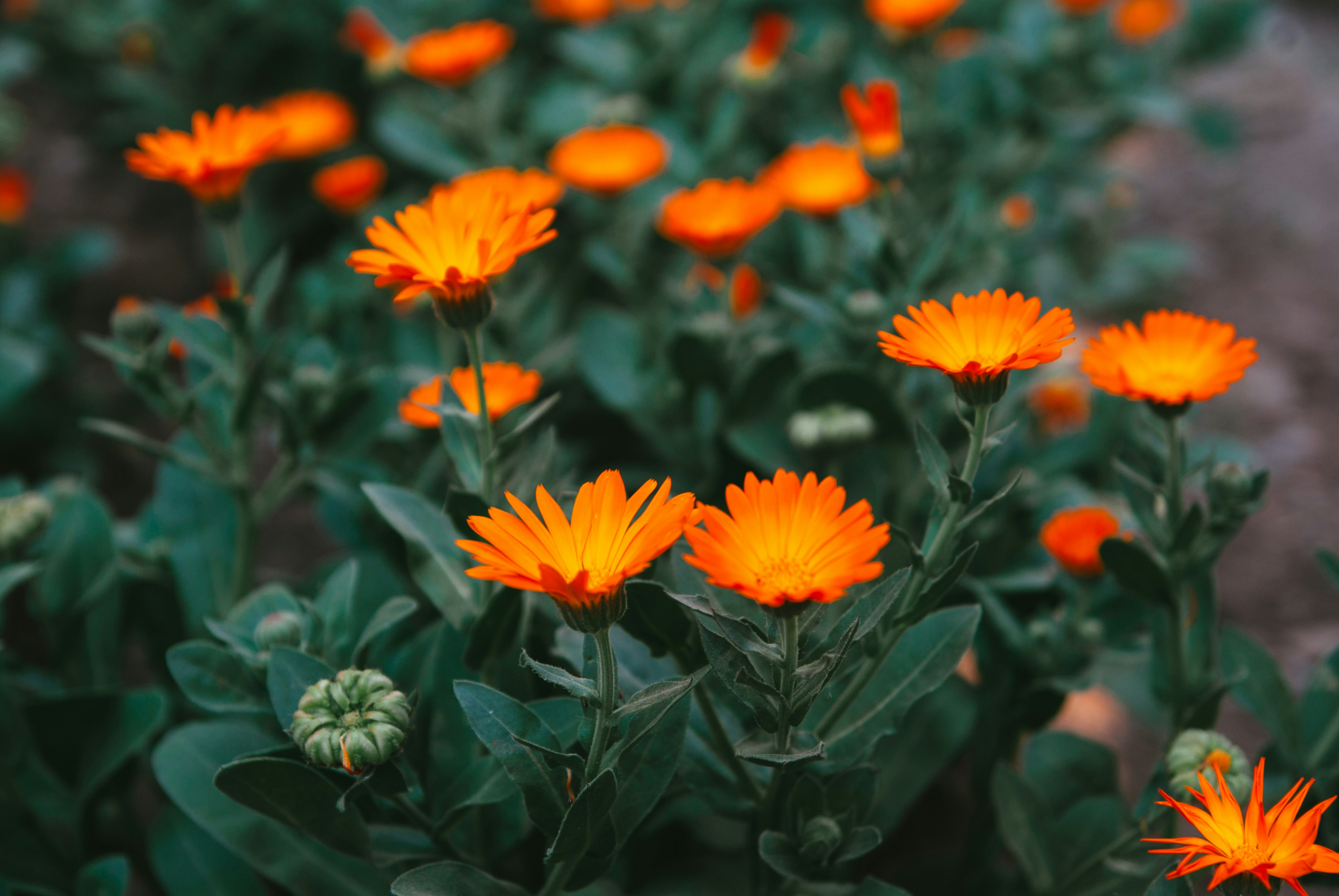 Photo by moonmoons_days