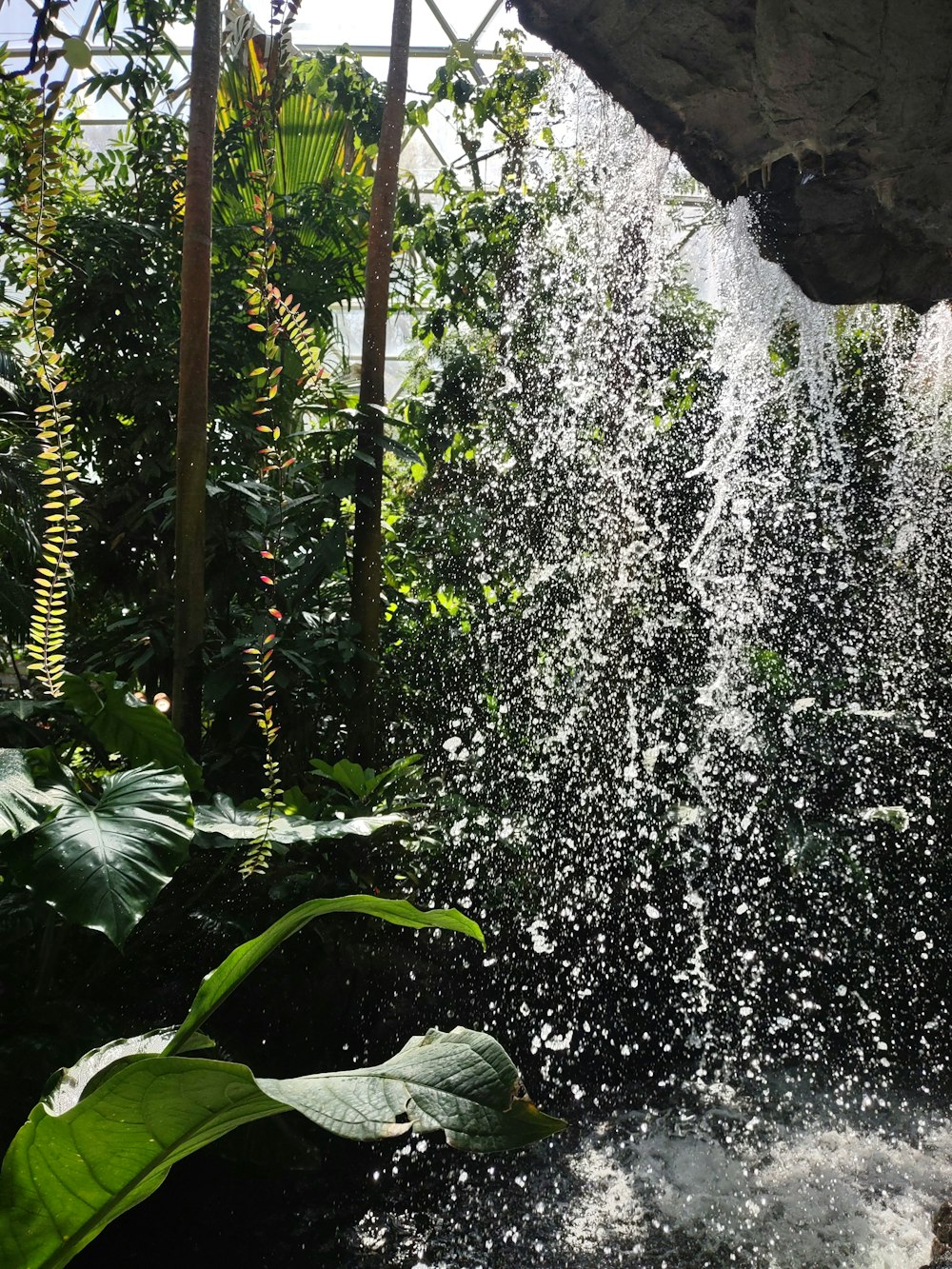 a waterfall in the middle of a jungle