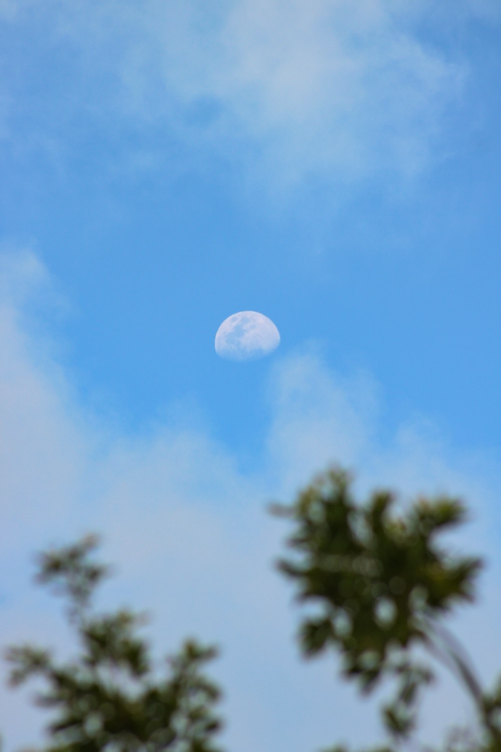 a view of the moon through some trees