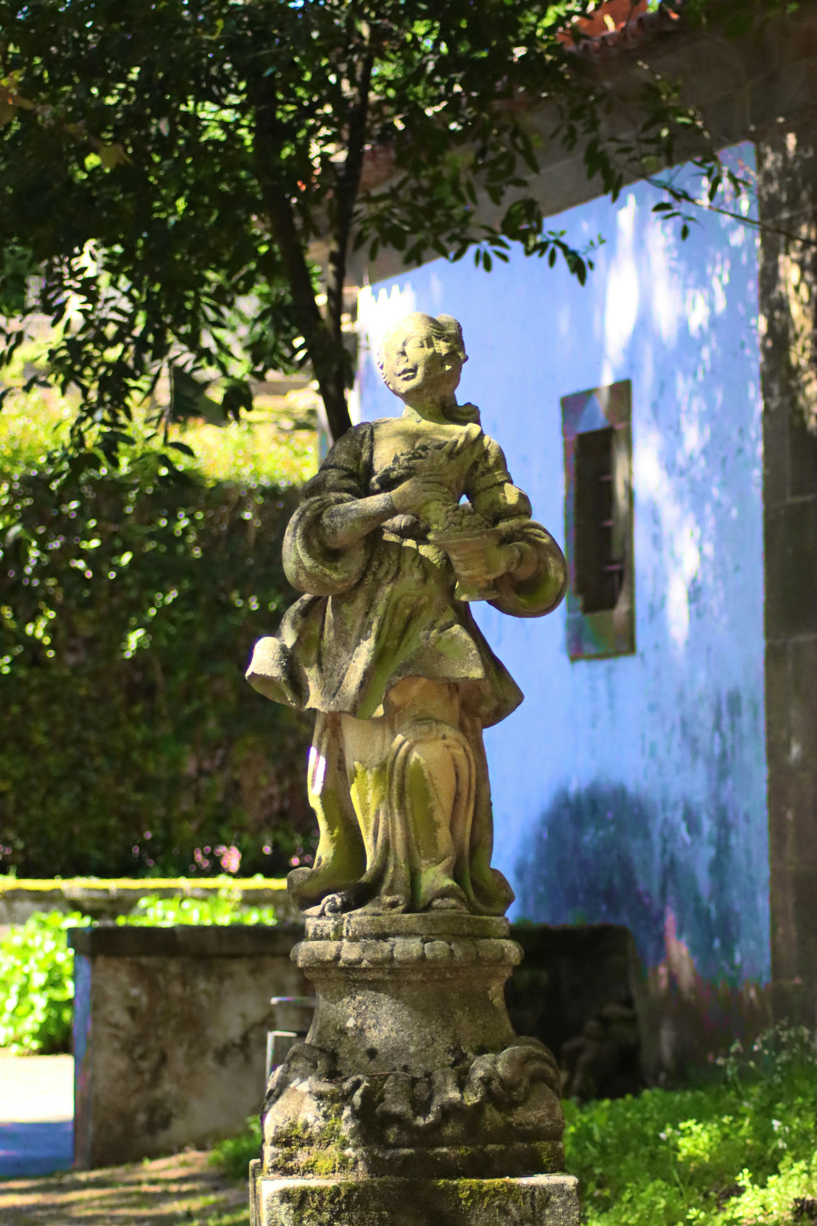 Photo by lfcsfilipesousa