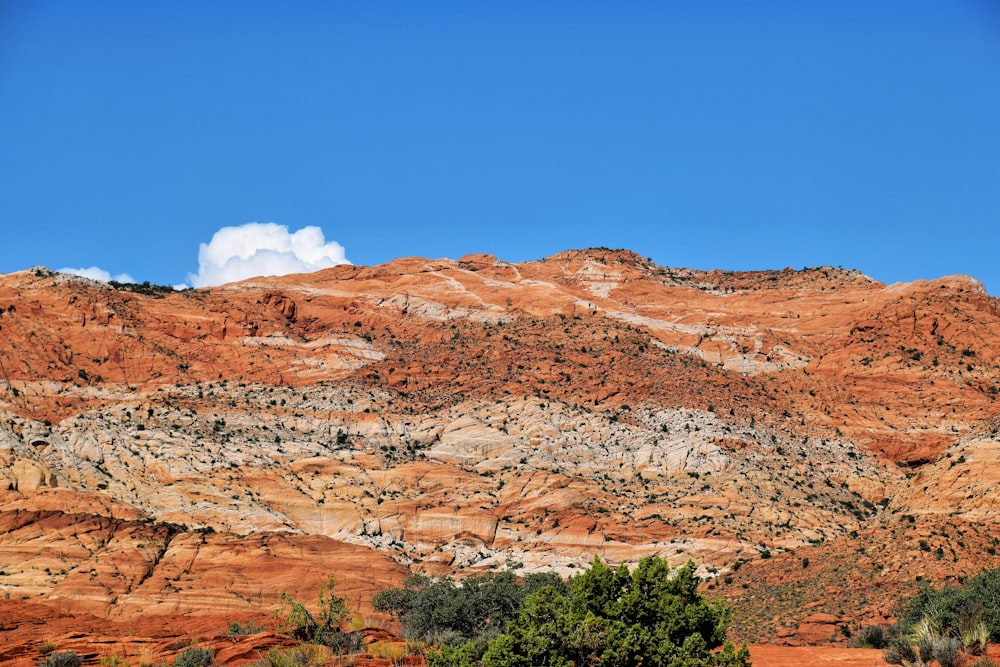 a view of a mountain range with trees in the foreground