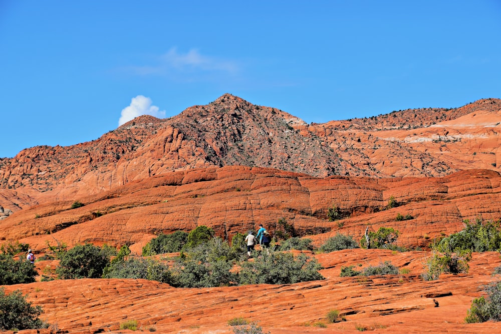 a group of people riding horses through a desert