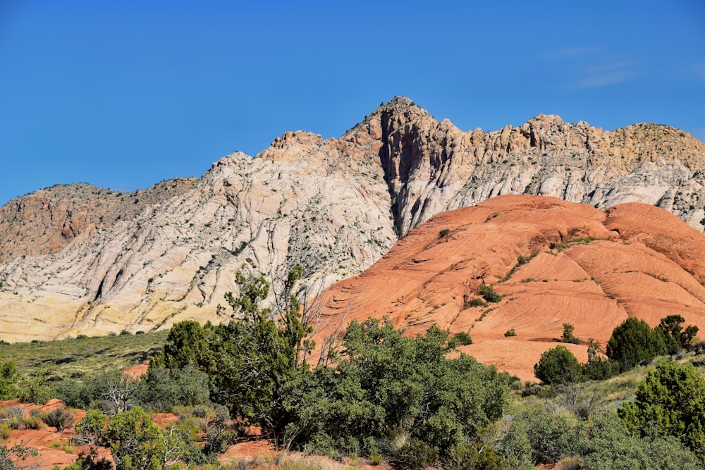 a mountain range with trees in the foreground and a blue sky in the background