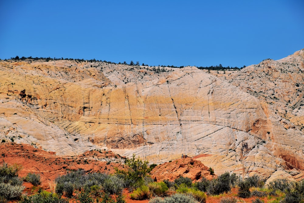 a mountain side with trees and bushes in the foreground