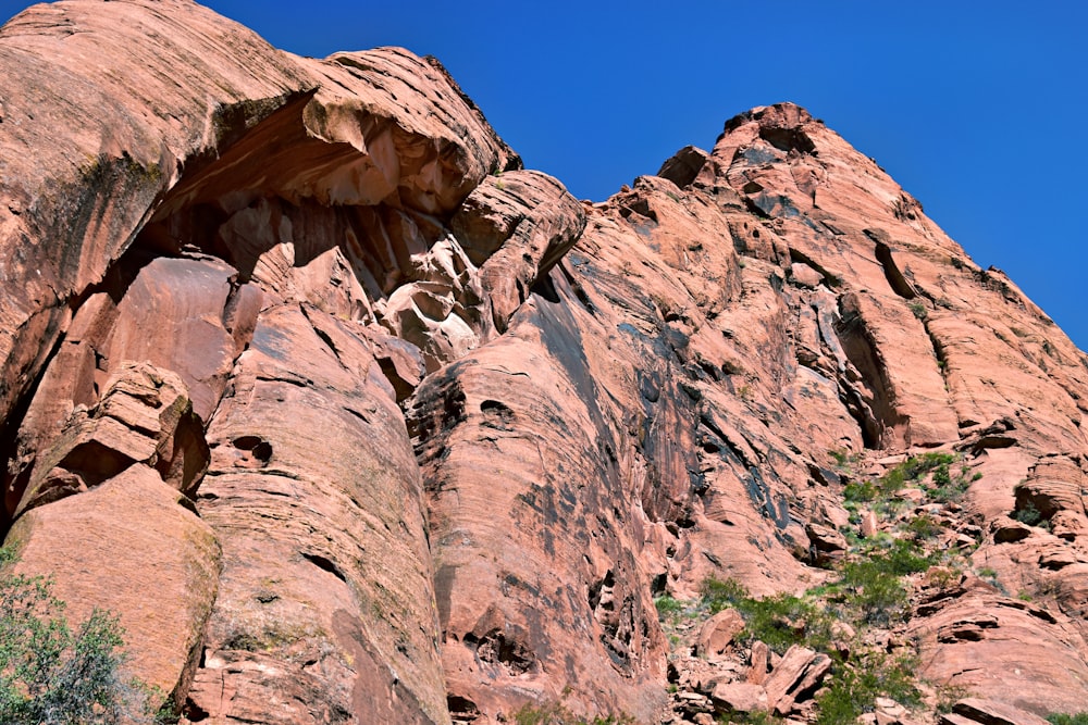 a large rock formation with a tree growing out of it