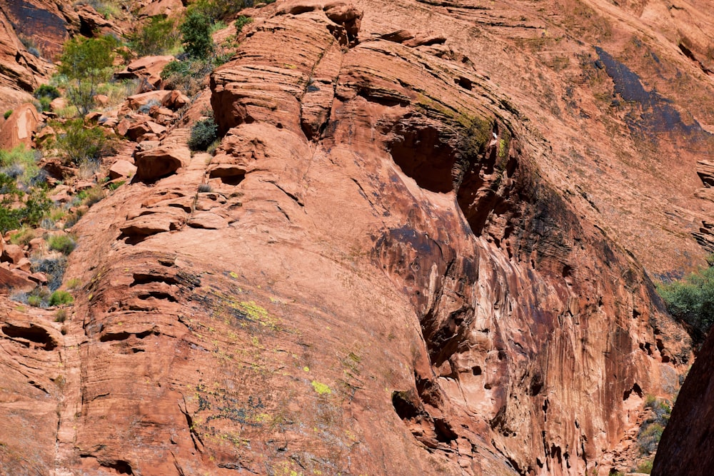 a large rock formation with trees growing out of it