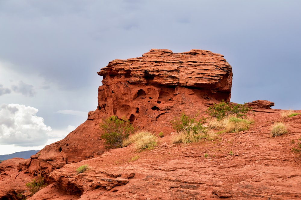 a rocky outcropping with a small tree growing out of it