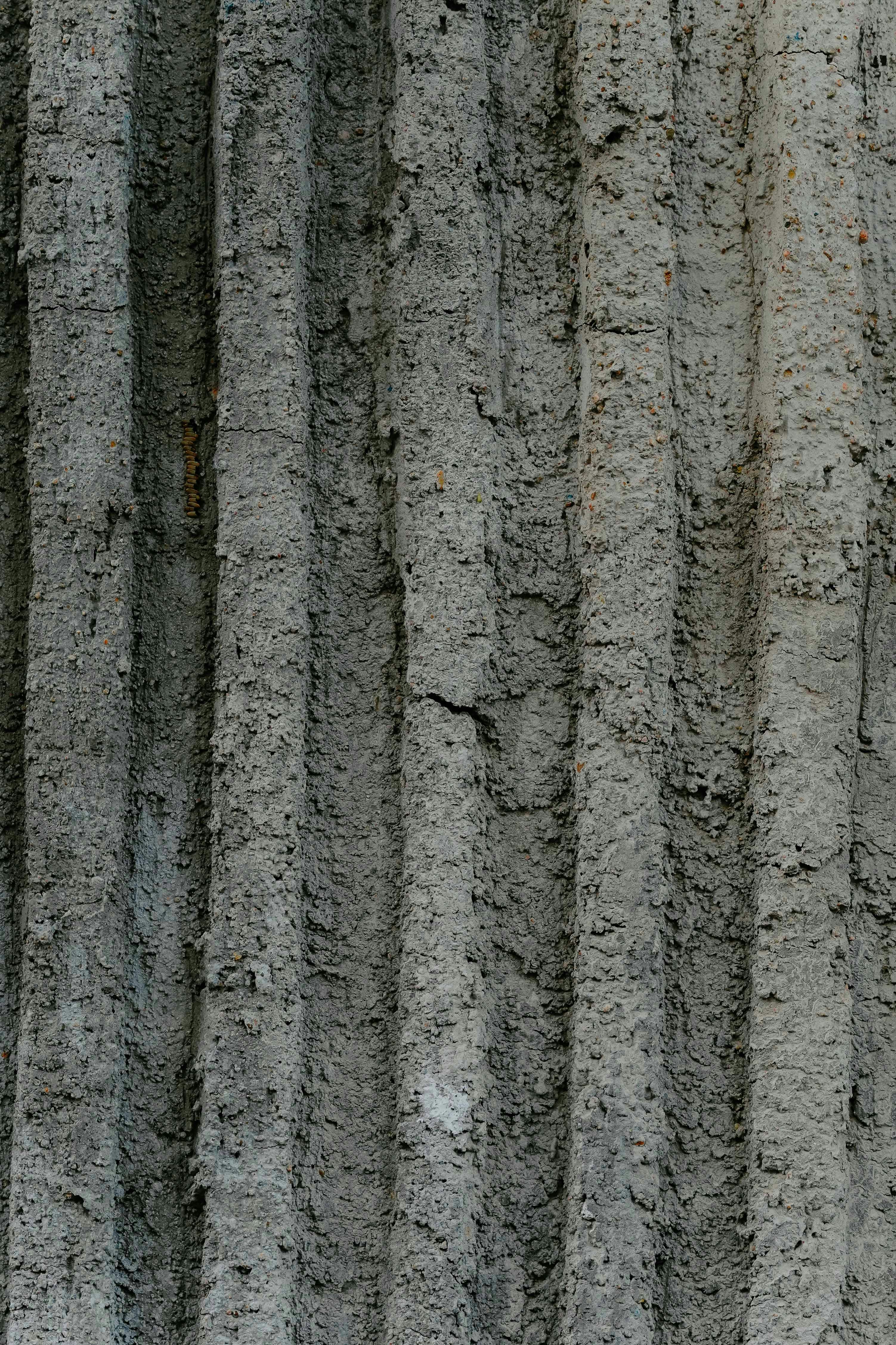 photo-1713534722186-a8a60da4791a?ixid=M3wxMjA3fDB8MXxzZWFyY2h8MTF8fGRpY2UlMjBjb25zZXJ2YXRpb24lMjB0ZWNobmlxdWVzfGVufDB8fHx8MTc2Mjg1NDgwNHww\u0026ixlib=rb-4.1.0