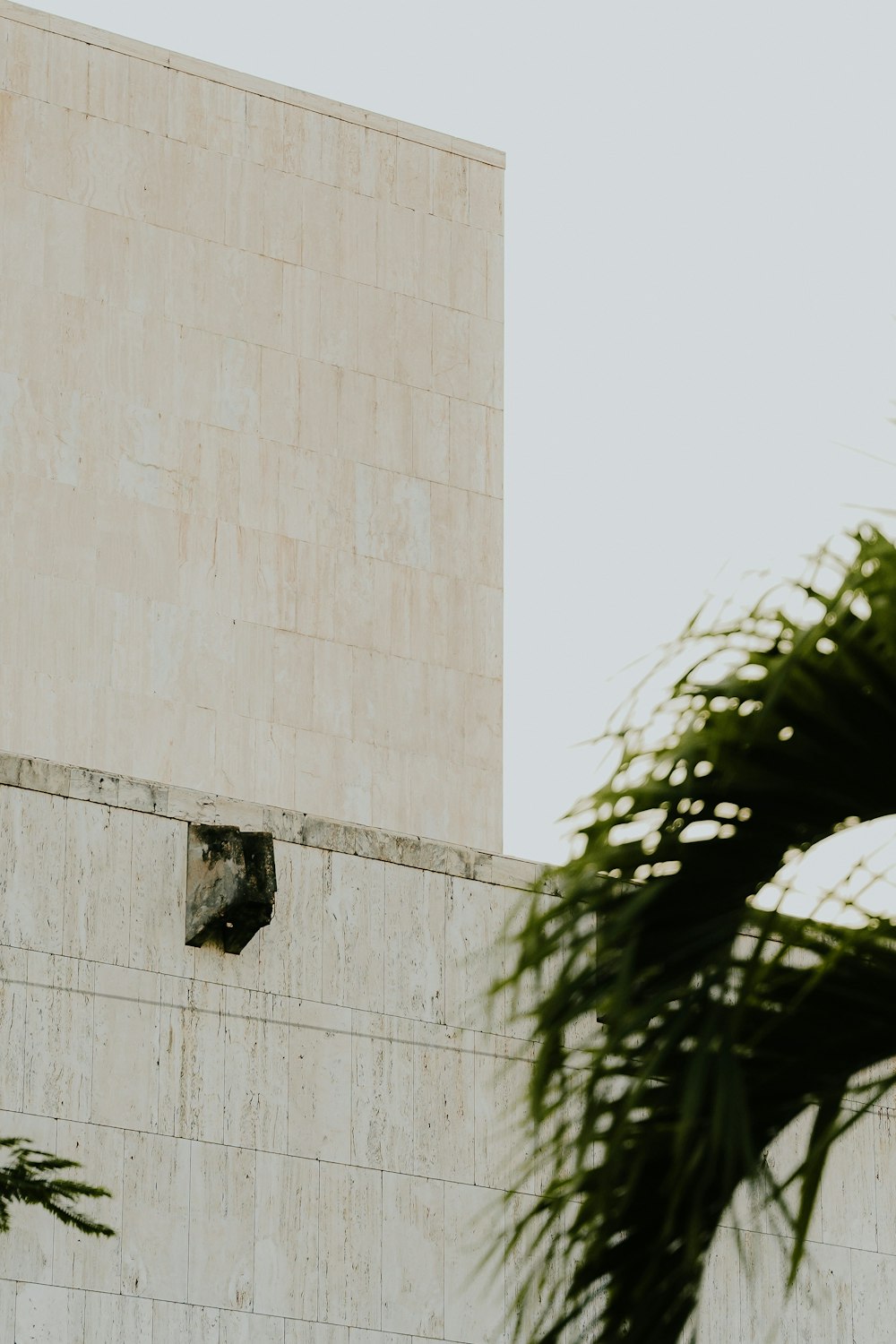 a building with a palm tree in front of it