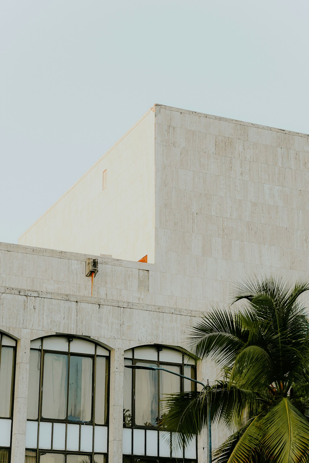 a building with a palm tree in front of it