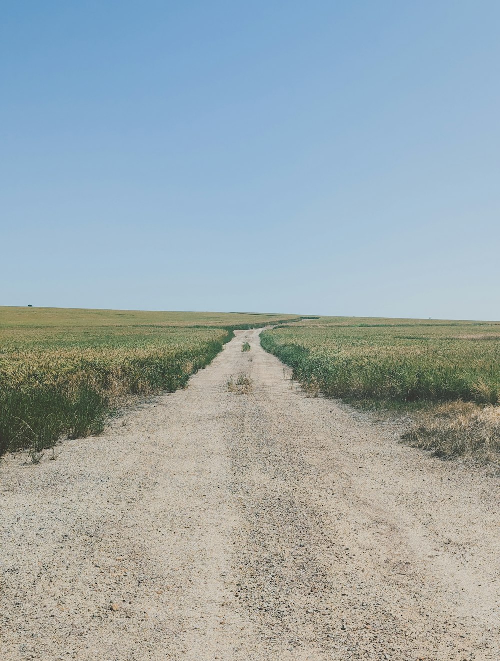 a dirt road in the middle of a field