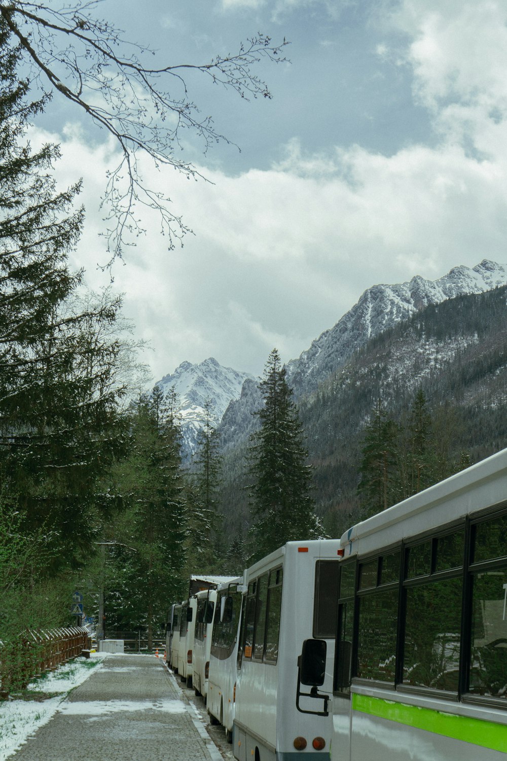 a line of buses parked on the side of a road