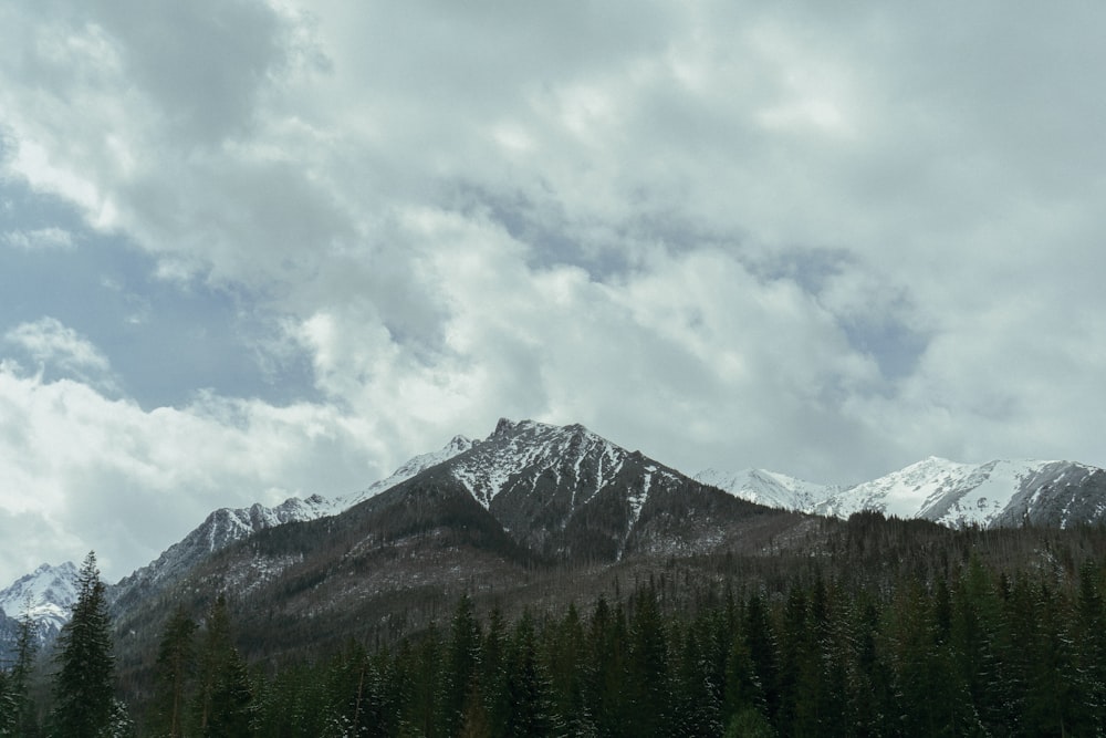 a snow covered mountain with trees in the foreground