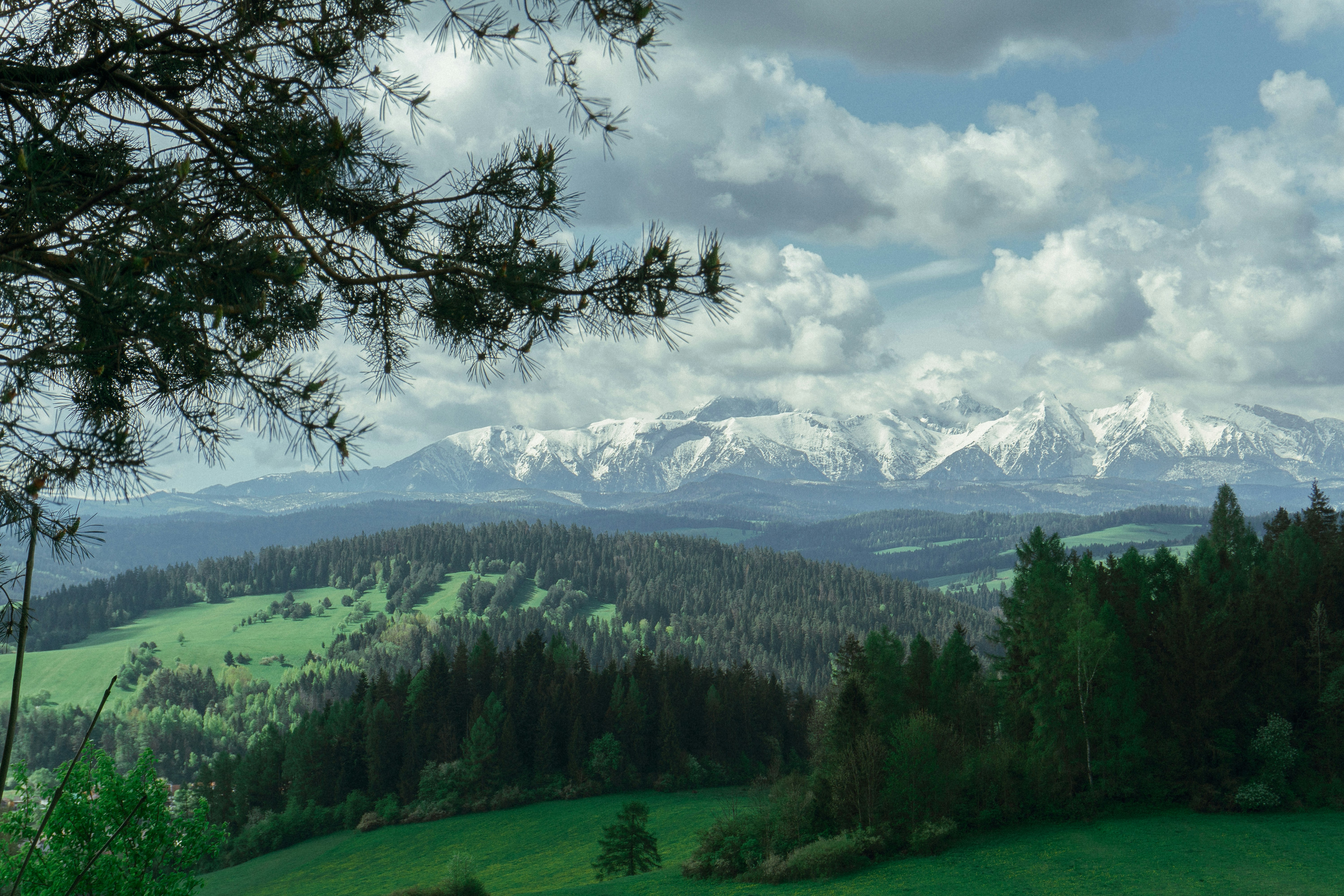 A view of a mountain range with trees in the foreground photo – Free ...