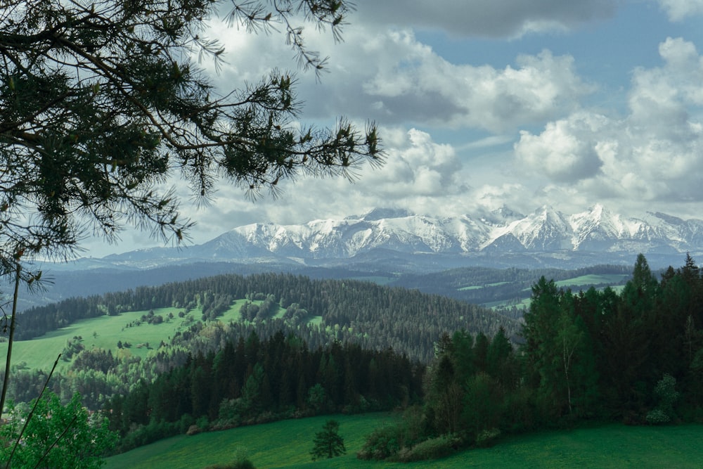 a view of a mountain range with trees in the foreground