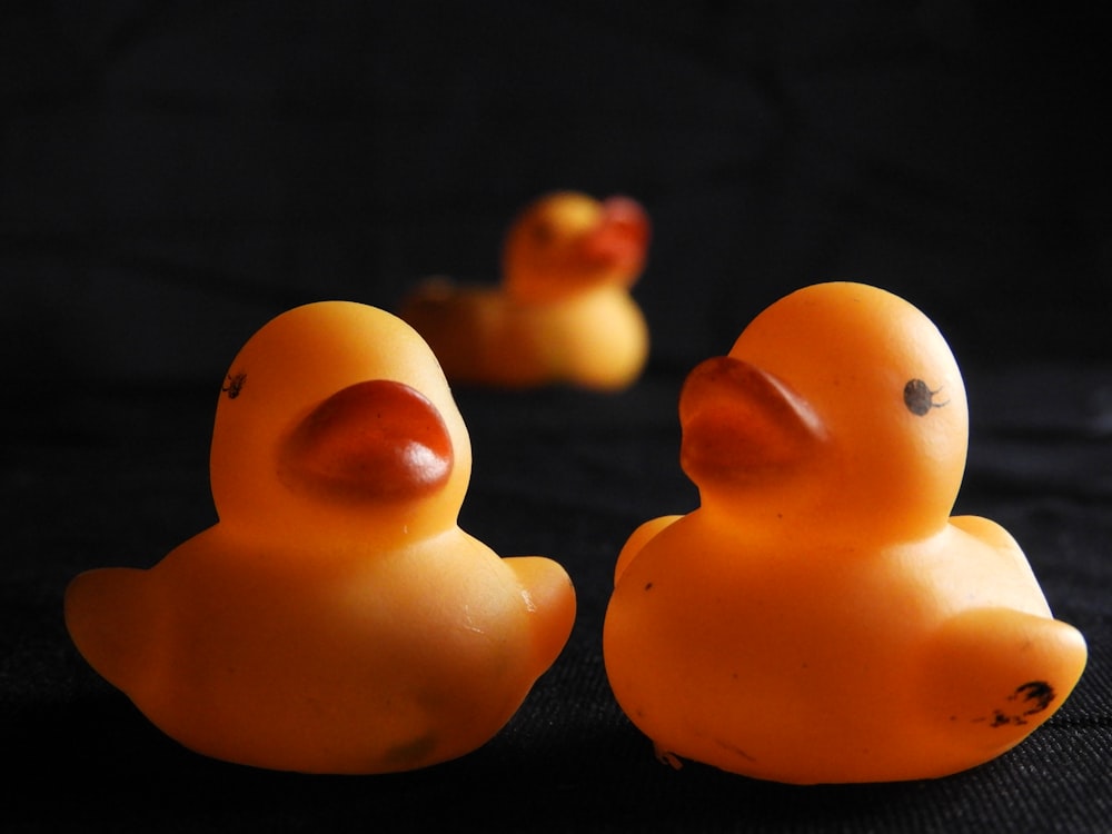 a couple of rubber ducks sitting next to each other