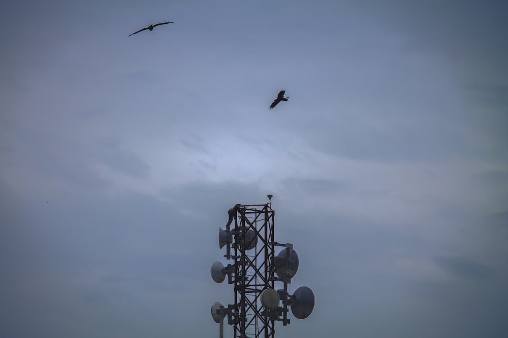 two birds flying over a tower with a radio antenna
