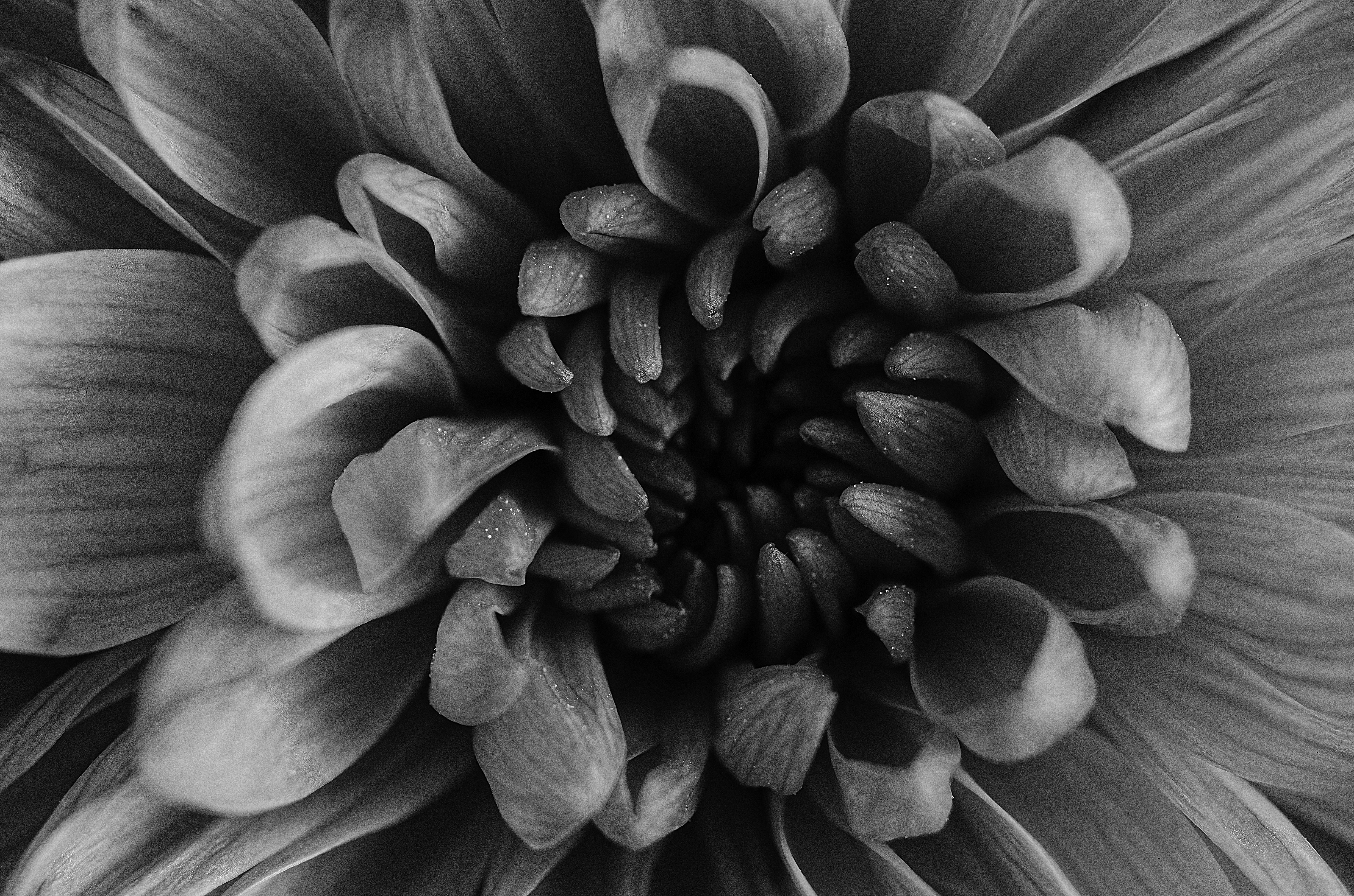 Photo by andrilliardbond