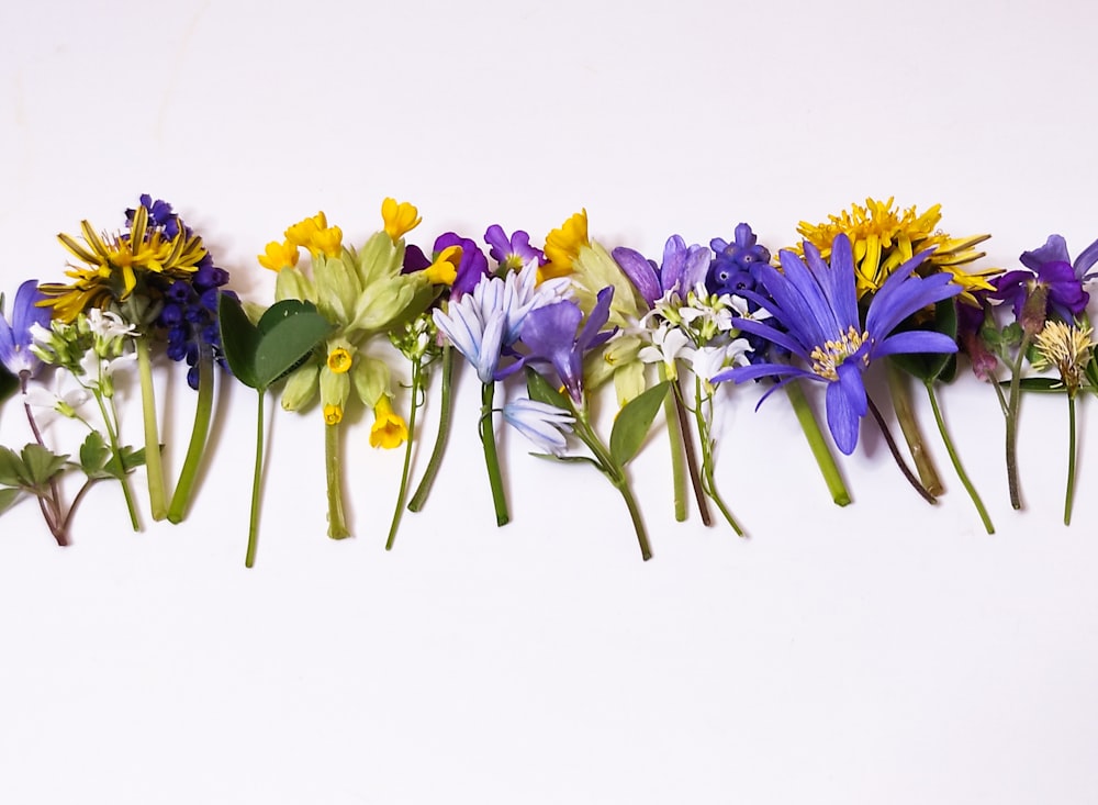 a bunch of flowers are lined up in a row