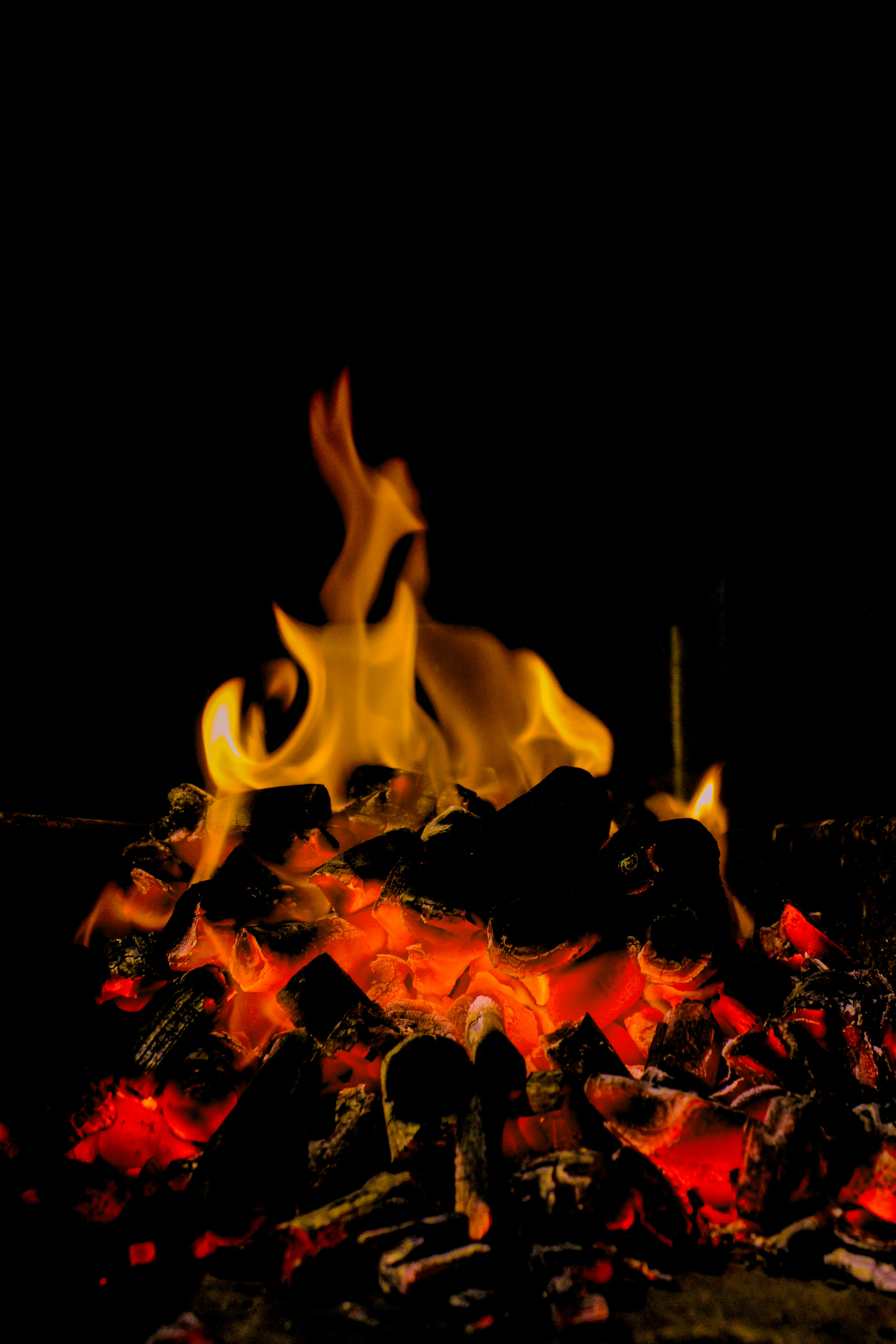 Photo by umarmaqbool1150