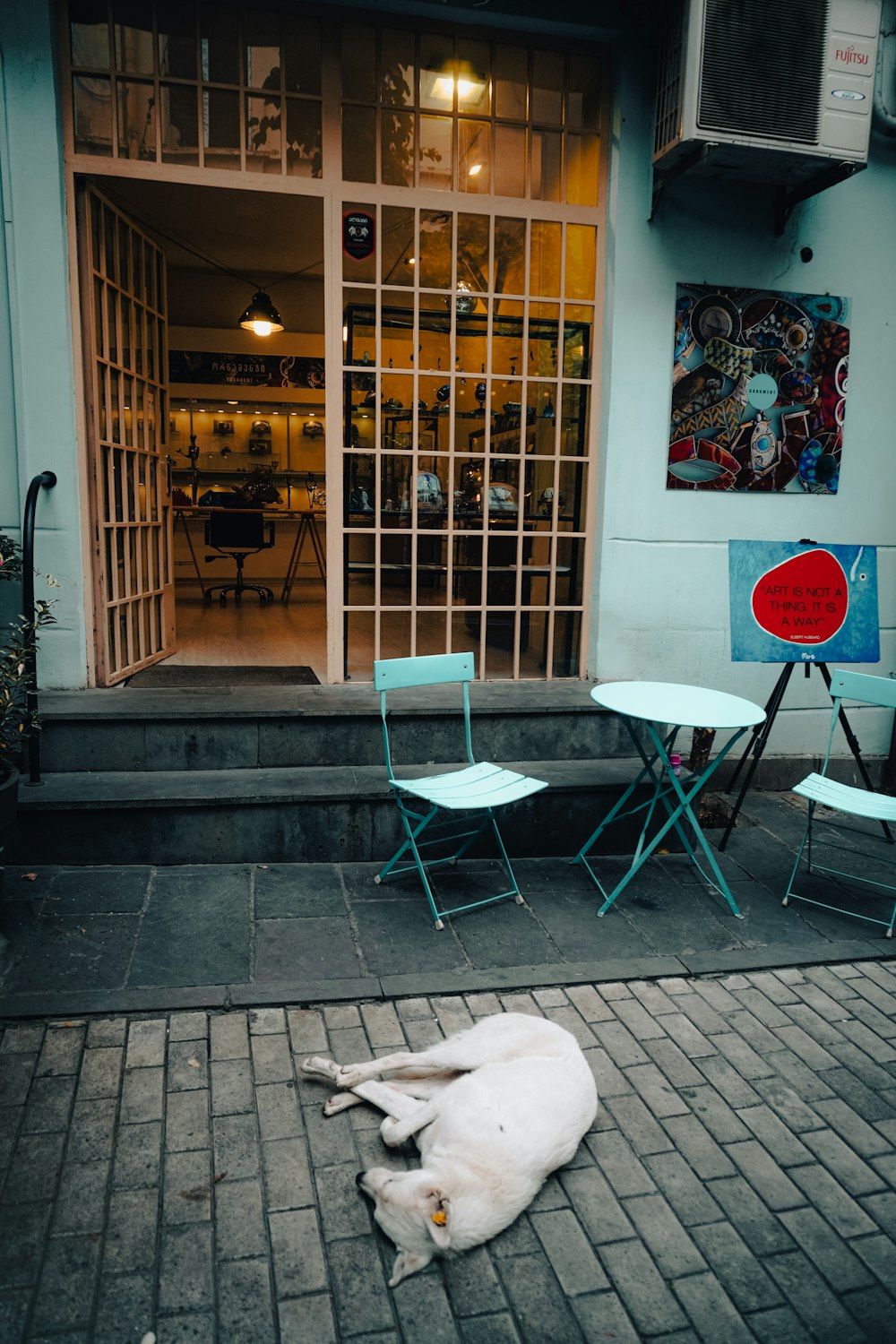 a white dog laying on the ground in front of a building