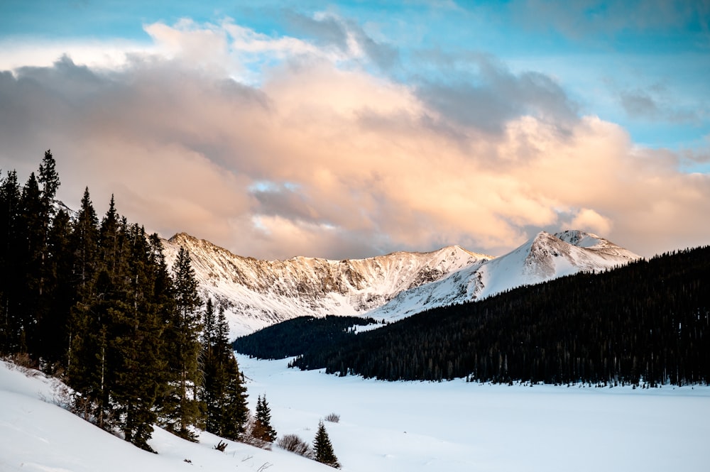 a snow covered mountain with trees in the foreground