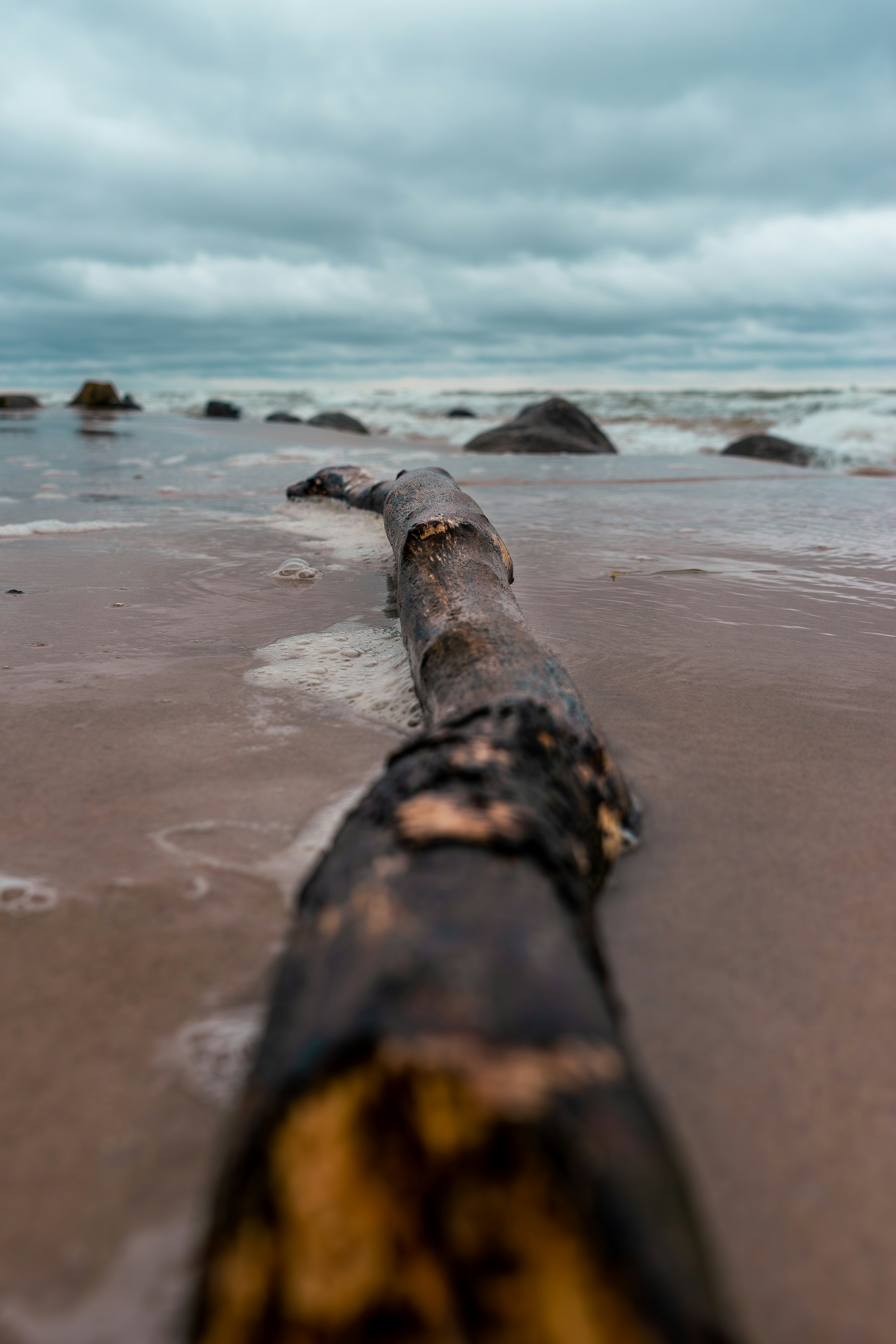 um tronco deitado em cima de uma praia de areia
