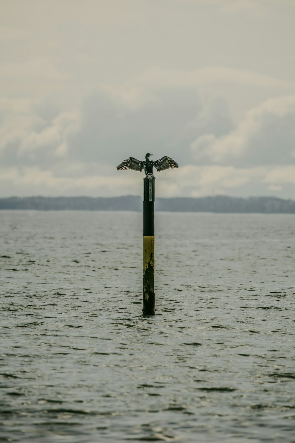a bird sitting on top of a pole in the middle of a body of water