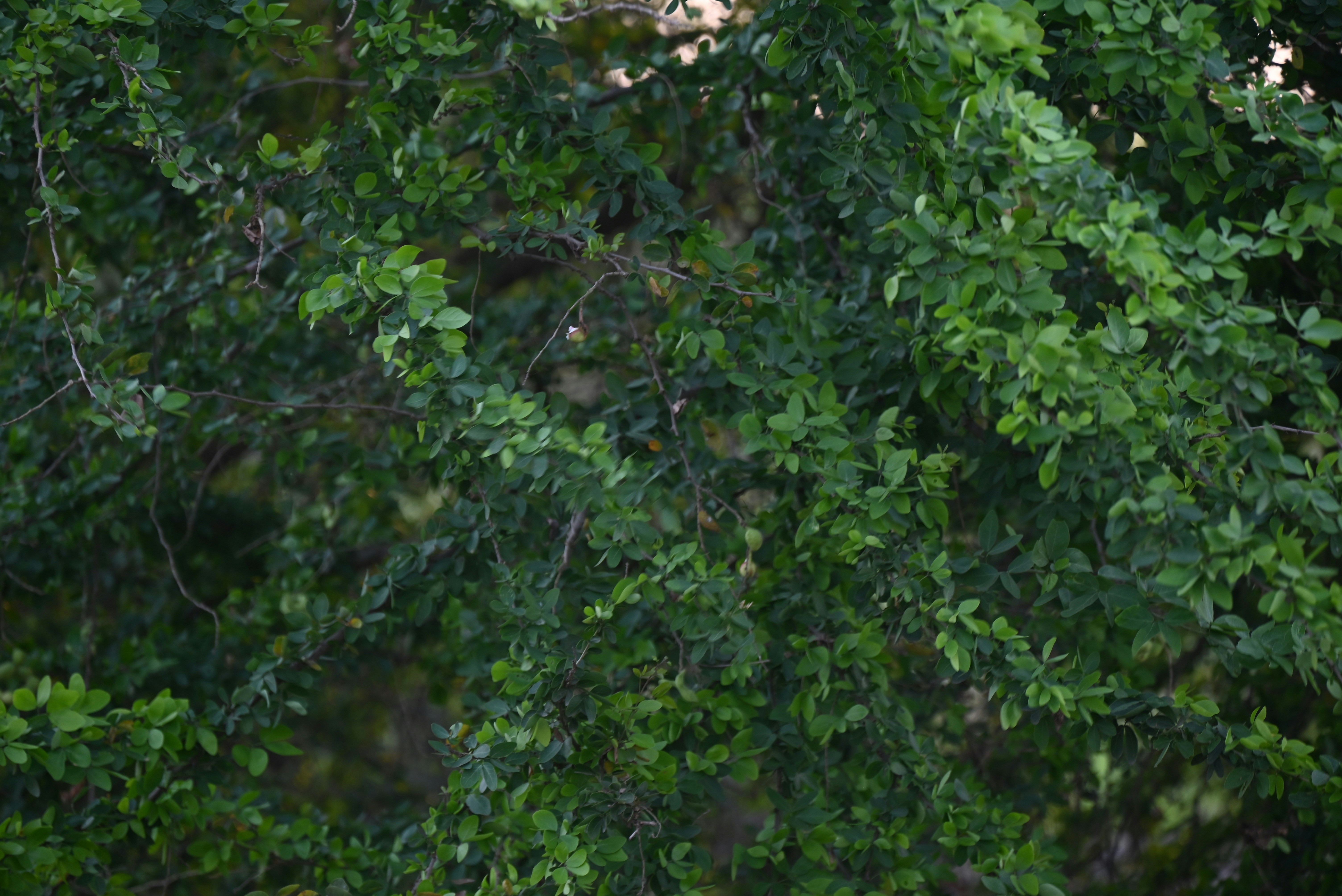 photo-1713546116185-b6ce91a8fef6?ixid=M3