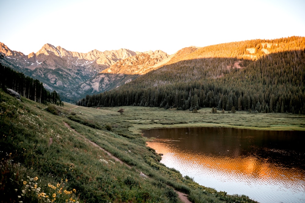 a lake in the middle of a field with mountains in the background