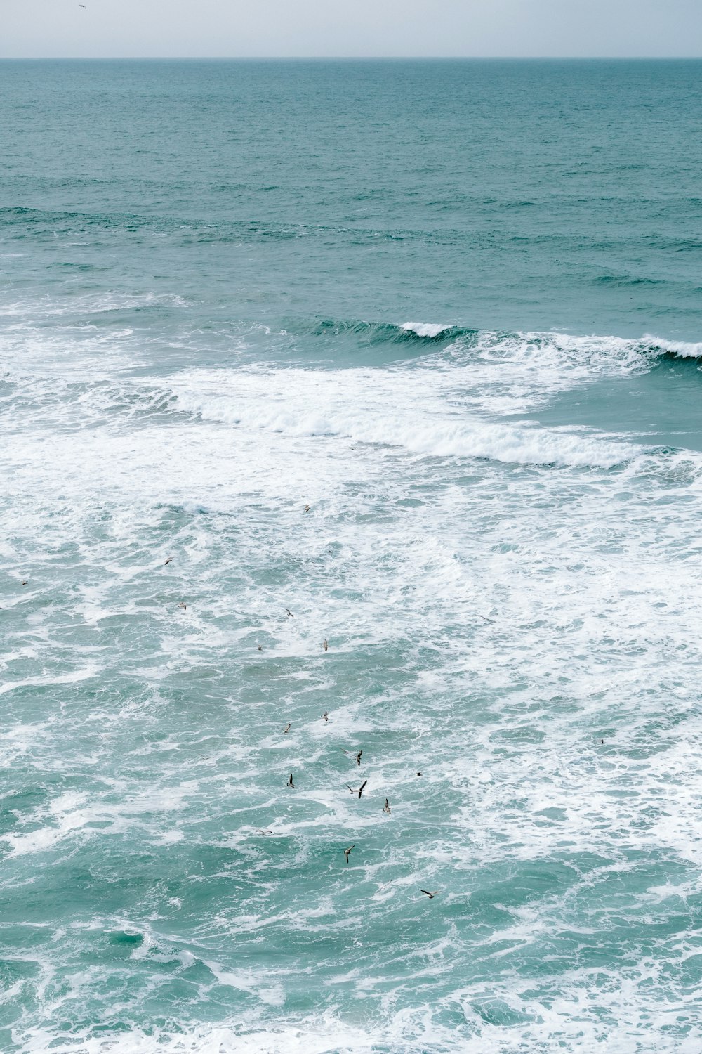 a group of birds flying over a body of water