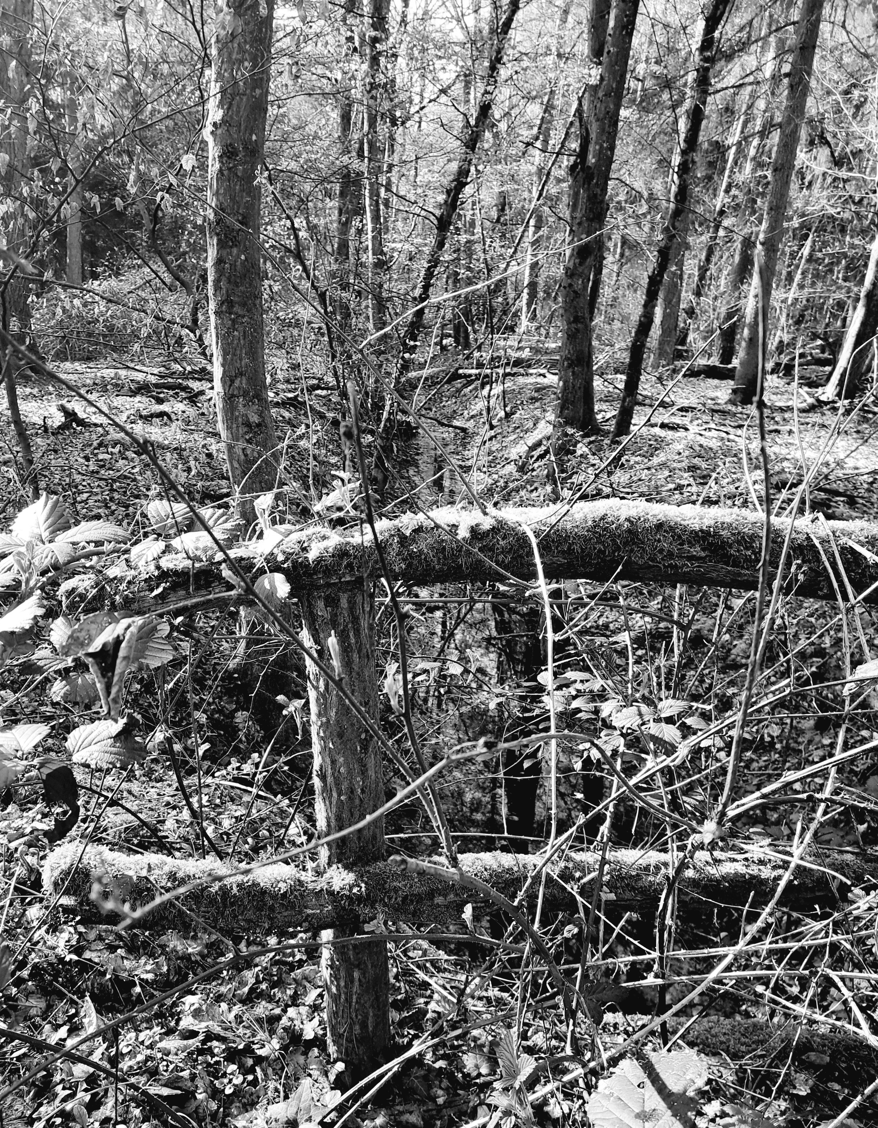 Photo by schreibmich