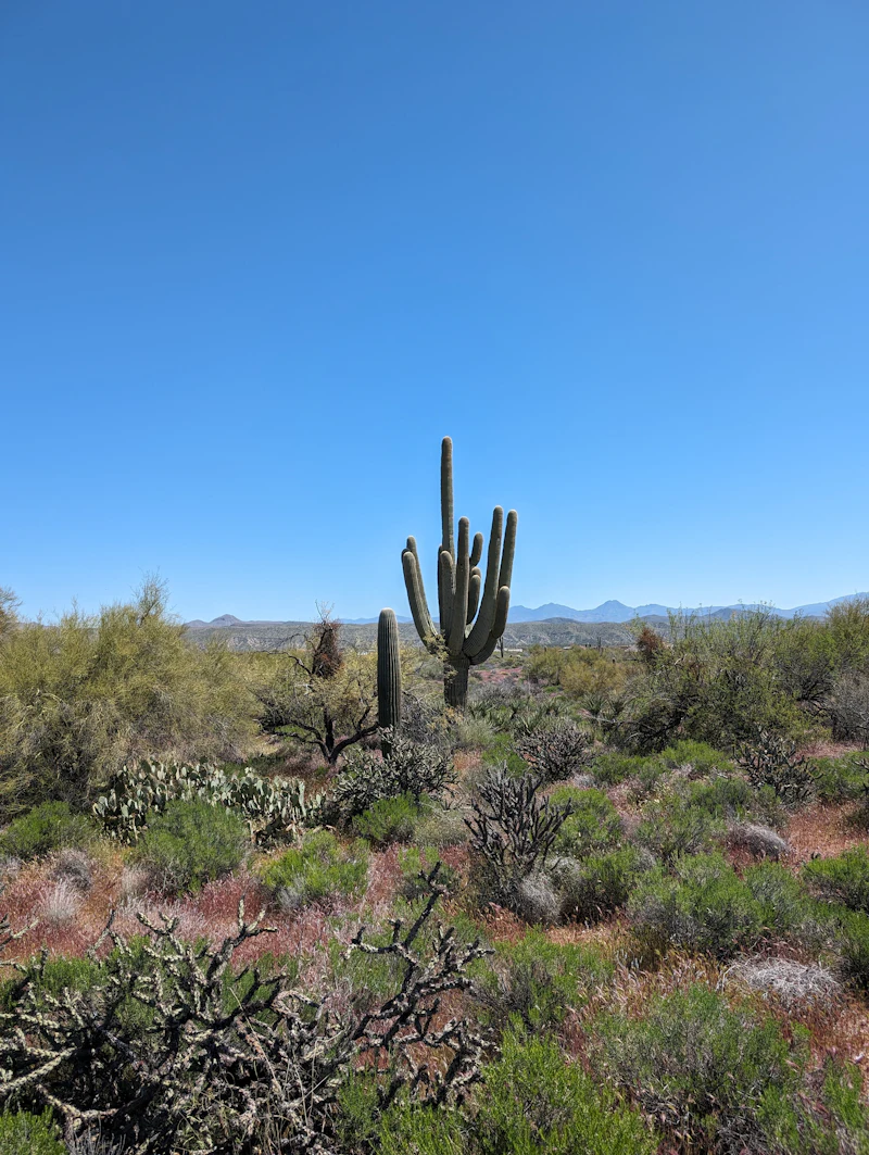 Photo session at Pinnacle Peak, Scottsdale