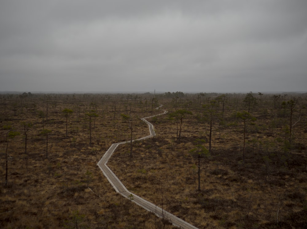 a path in the middle of a field