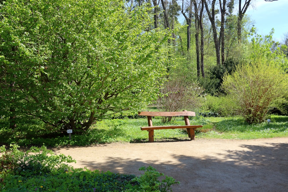 a wooden bench sitting in the middle of a park