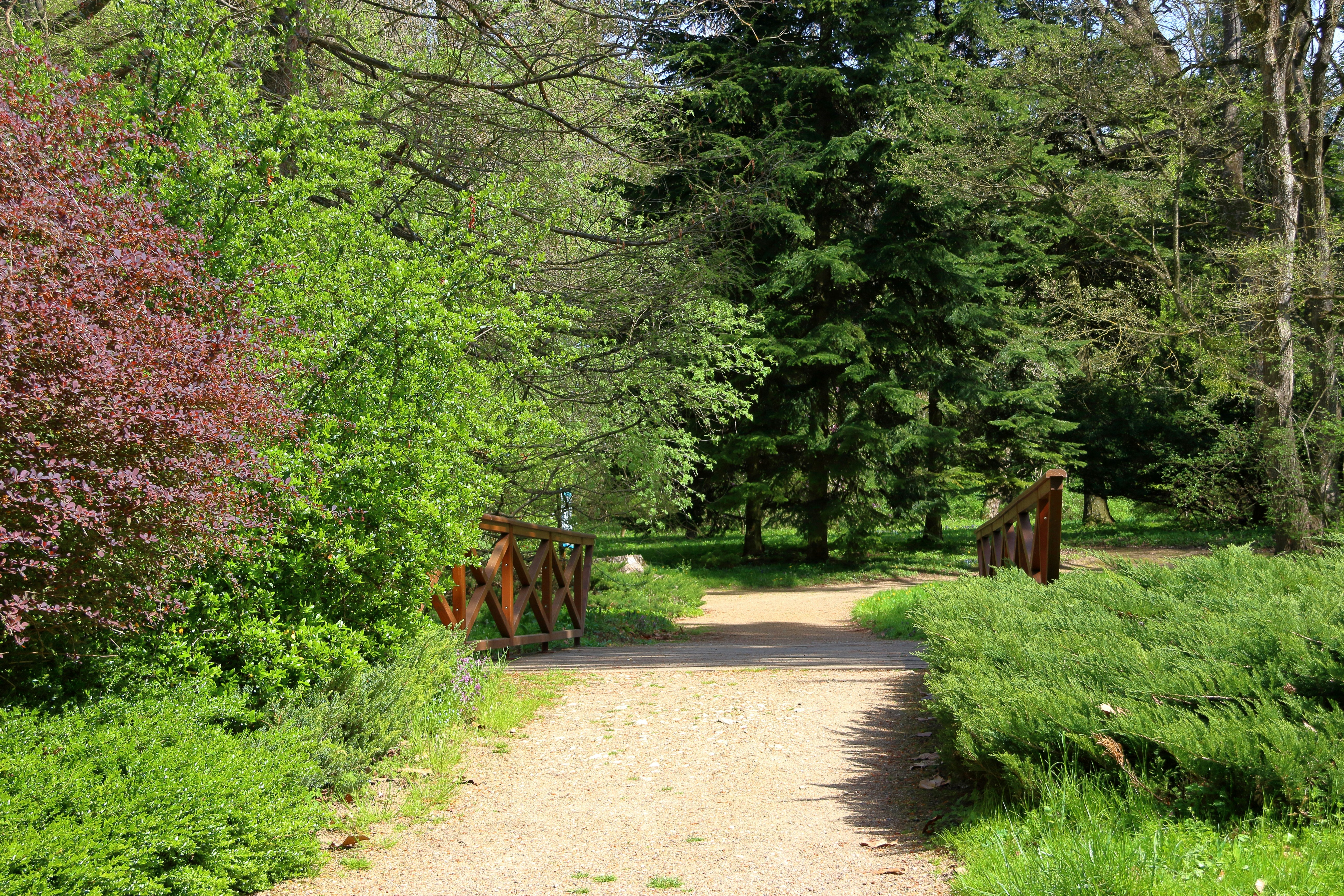 A serene walking trail in Obernaft Park, winding through lush greenery - obernaft