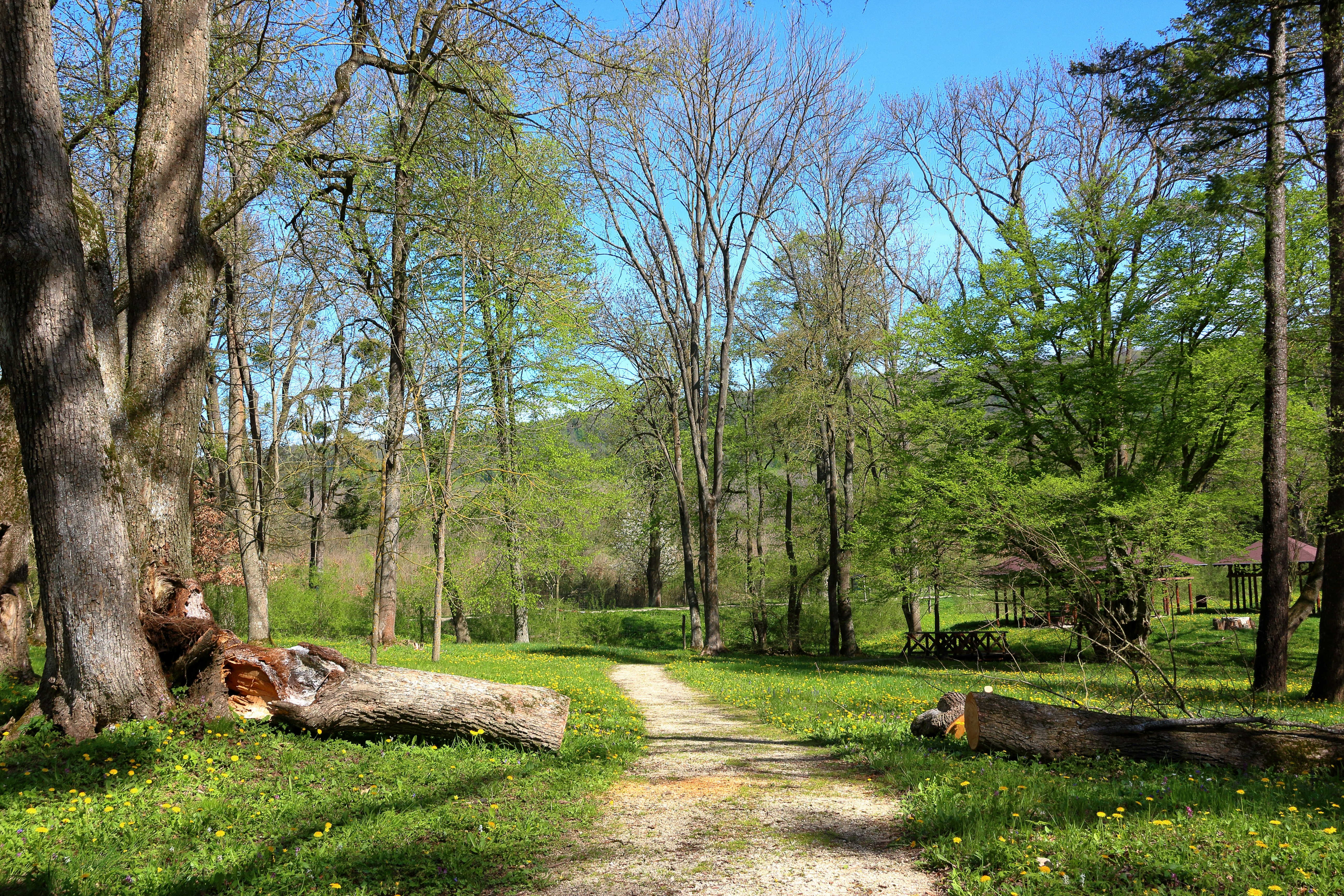 Haven Hollow Park