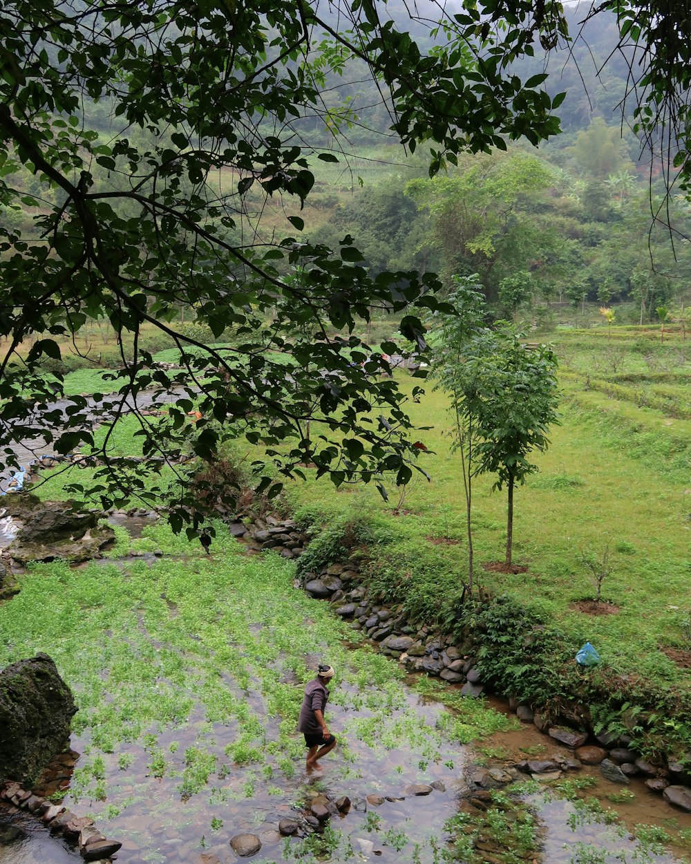 a man standing in a field next to a river