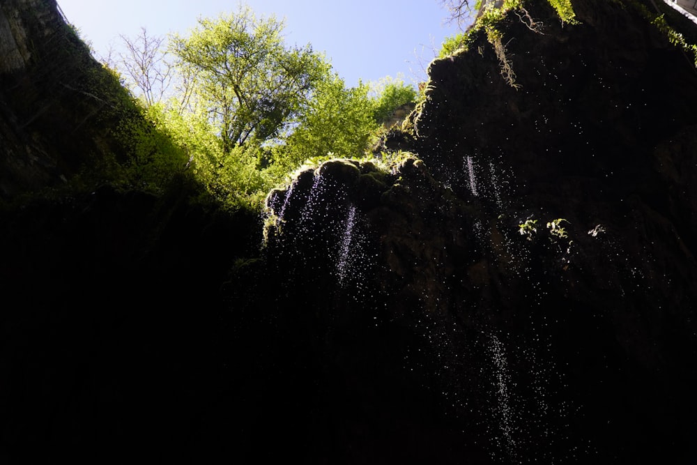 a small waterfall in the middle of a forest