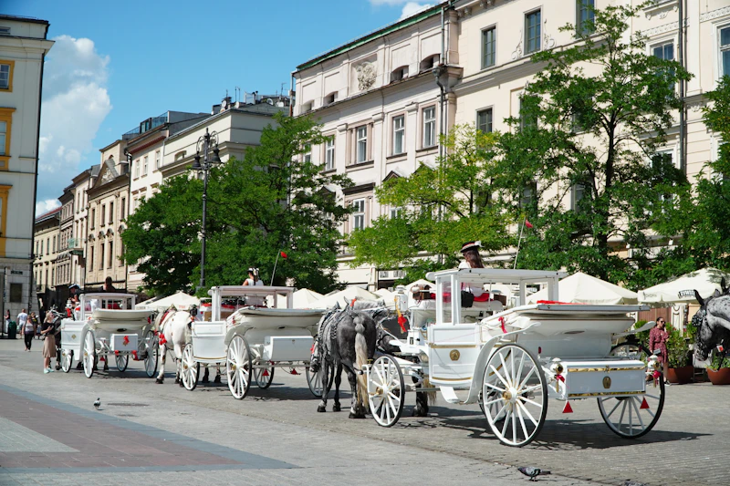 Best Local Markets in Krakow for Food, Crafts, and Real Community Life