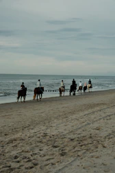 a group of people riding horses on a beach