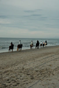 a group of people riding horses on a beach