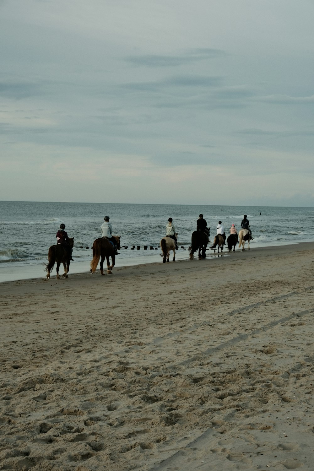 해변에서 말을 타고 있는 한 무리의 사람들