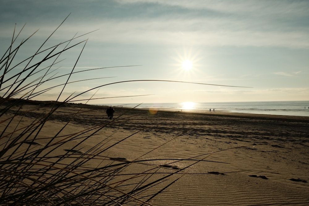 the sun is setting on the beach with a few people in the distance