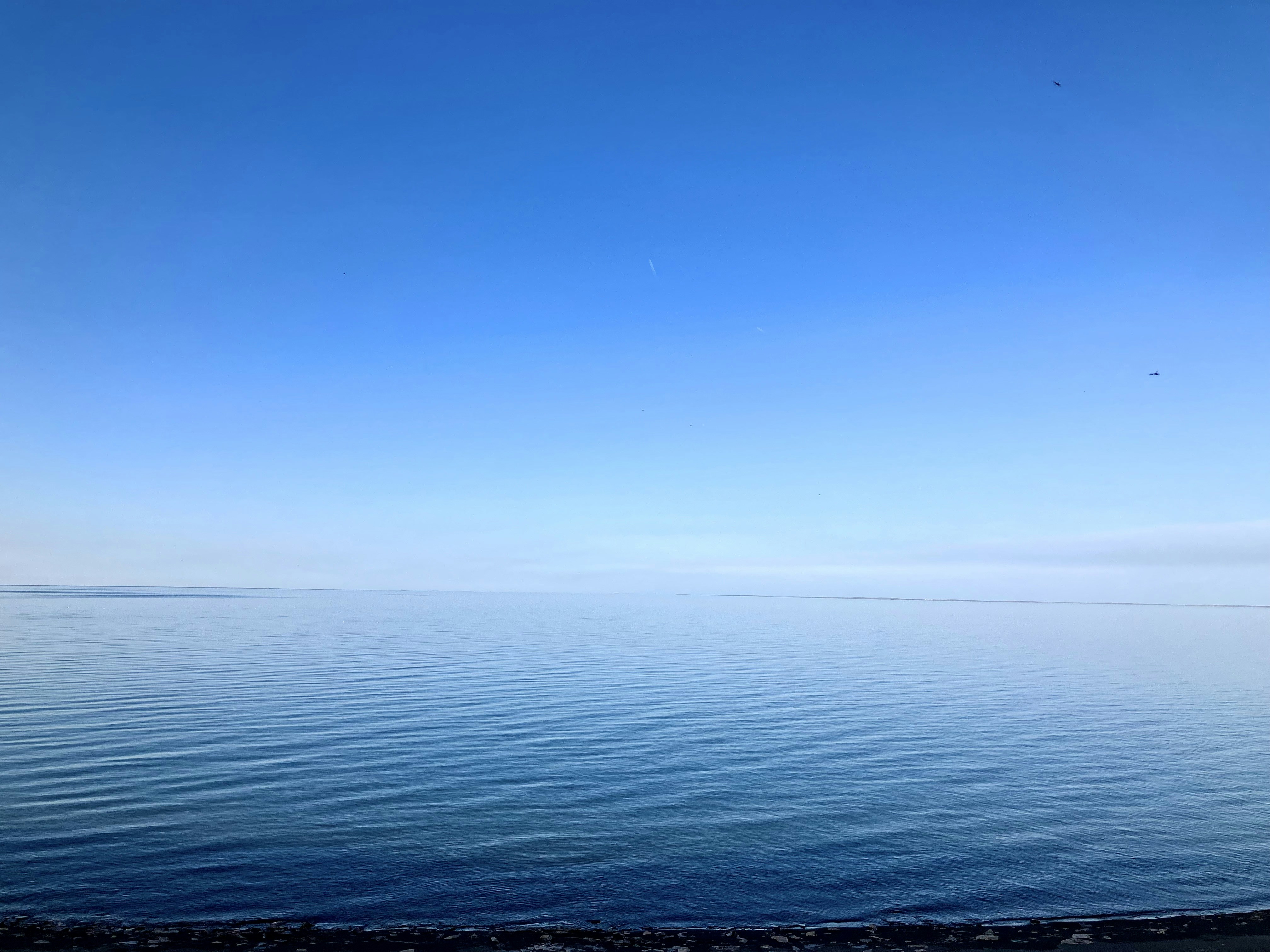 Photo by farruhabdujabborov