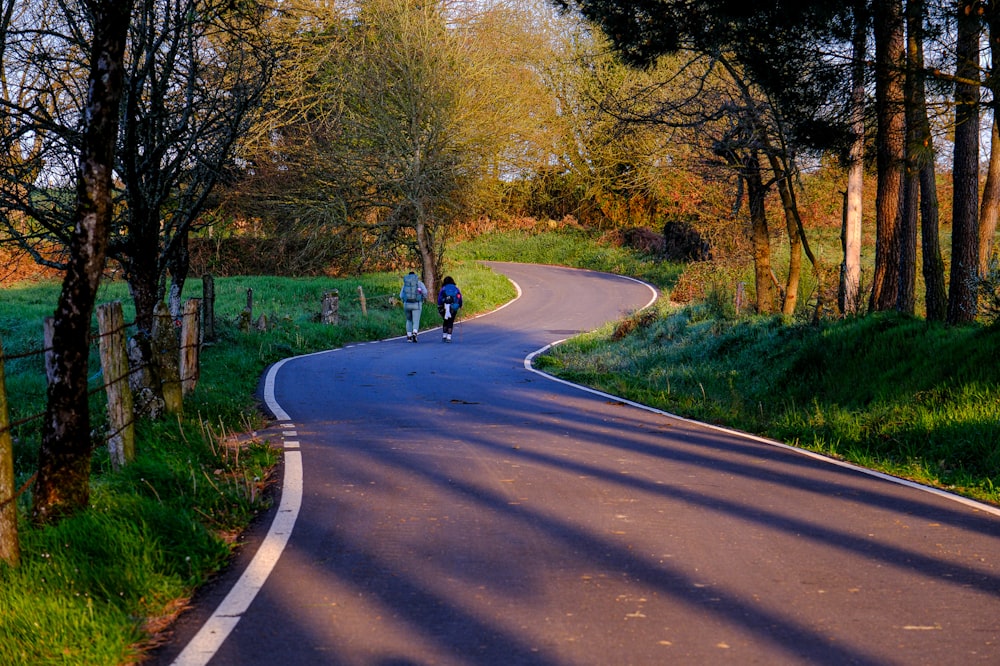 a couple of people walking down a winding road